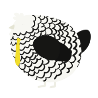 A white and black chicken with a lace pattern