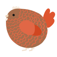 A brown and vermilion chicken with a lace pattern