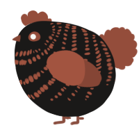 A sable and russet chicken with a bar pattern
