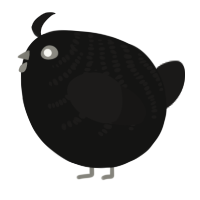 A black and sable chicken with a half-bar pattern