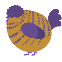 A gold and overcast chicken with a bar pattern