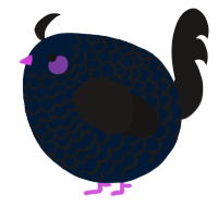 A tumblr and sable chicken with a lace pattern
