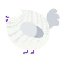 A white and mist chicken with a bar pattern