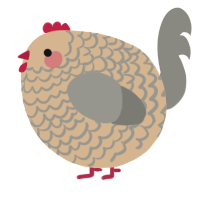 A beige and ash chicken with a lace pattern
