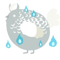 A silver and white chicken with a half-lace pattern