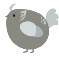 A ash and silver chicken with a neck-band pattern