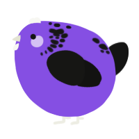A blurple and black chicken with a neck-speckle pattern