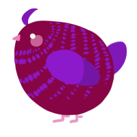 A maroon and violet chicken with a bar pattern