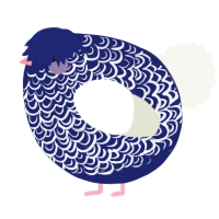 A navy and white chicken with a double-lace pattern