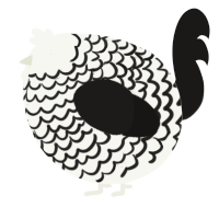 A white and sable chicken with a lace pattern