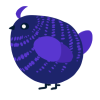 A navy and indigo chicken with a bar pattern