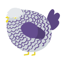 A mist and overcast chicken with a lace pattern