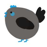 A grey and sable chicken