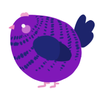 A violet and navy chicken with a bar pattern