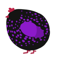 A black and violet chicken with a speckle pattern