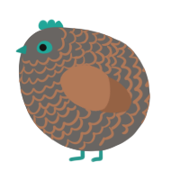 A grey and brown chicken with a lace pattern