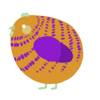 A orange and violet chicken with a bar pattern