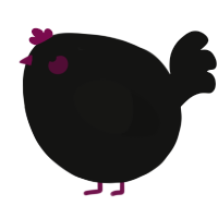 A black chicken
