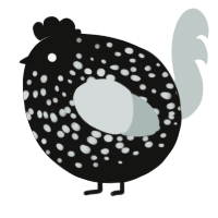 A black and silver chicken with a speckle pattern