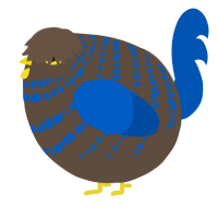 A bark and ultramarine chicken with a bar pattern