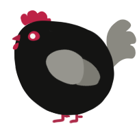 A black and ash chicken
