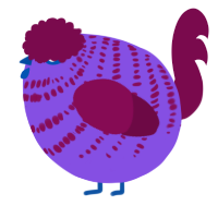 A blurple and wine chicken with a bar pattern