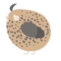 A beige and grey chicken with a speckle pattern