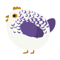 A white and overcast chicken with a half-lace pattern