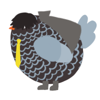 A silver and bark chicken with a lace pattern