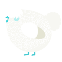 A white chicken with a double-lace pattern