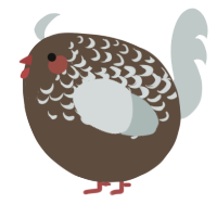 A bark and silver chicken with a half-lace pattern