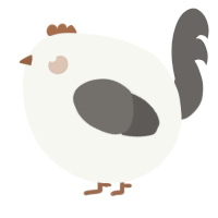 A white and grey chicken