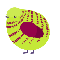 A lime and maroon chicken with a bar pattern