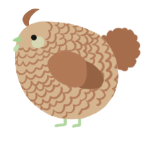 A beige and brown chicken with a lace pattern