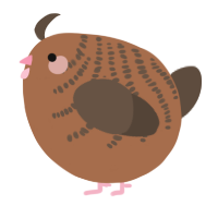 A brown and bark chicken with a half-bar pattern