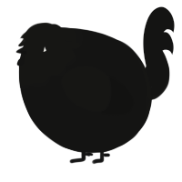 A black chicken with a head pattern