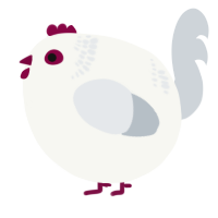 A white and mist chicken with a neck-band pattern