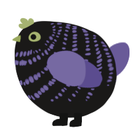 A sable and indigo chicken with a bar pattern