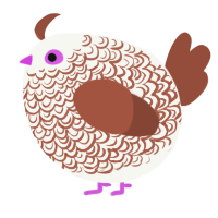 A white and russet chicken with a double-lace pattern