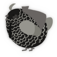 A sable and ash chicken with a lace pattern