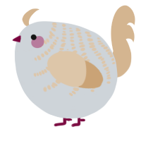 A mist and beige chicken with a half-bar pattern