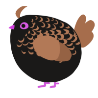 A sable and brown chicken with a half-lace pattern