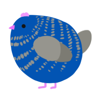 A ultramarine and ash chicken with a bar pattern