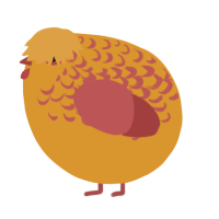 A orange and red chicken with a half-lace pattern