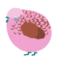 A pink and russet chicken with a half-lace pattern