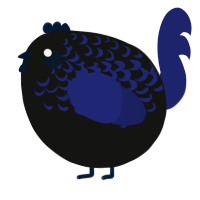 A black and navy chicken with a half-lace pattern