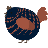 A tumblr and russet chicken with a bar pattern