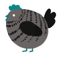 A grey and black chicken with a bar pattern