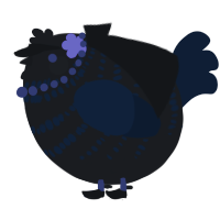A sable and tumblr chicken with a bar pattern