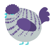 A silver and overcast chicken with a bar pattern